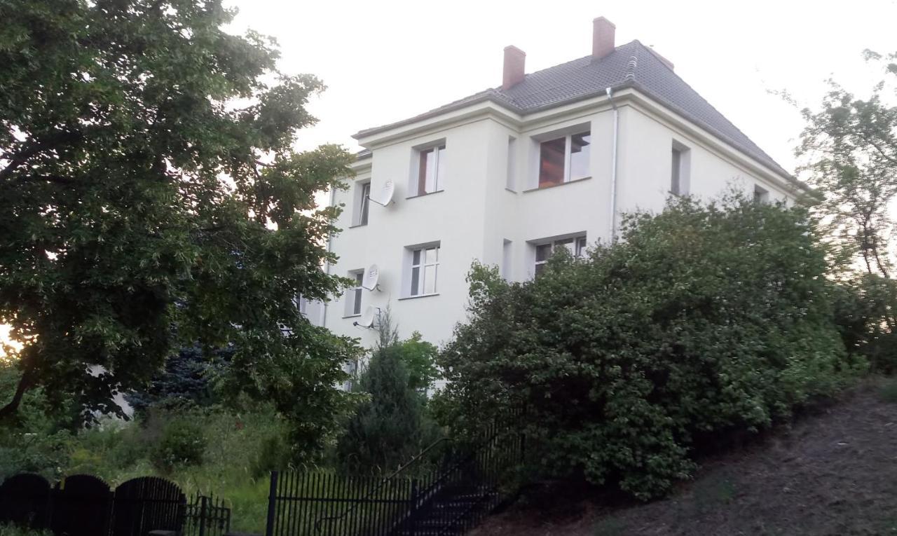 Willa Alba Gorzów Wielkopolski Kültér fotó